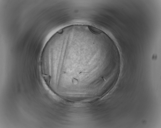 X0000113341440200909291019