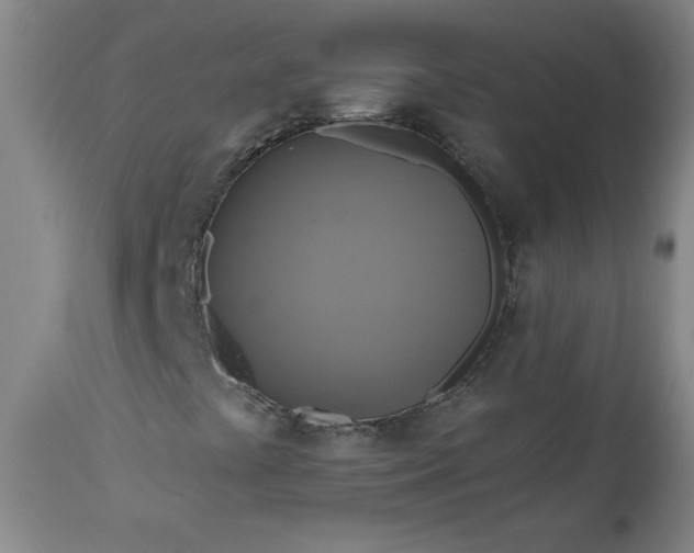 X0000113341441200909291019