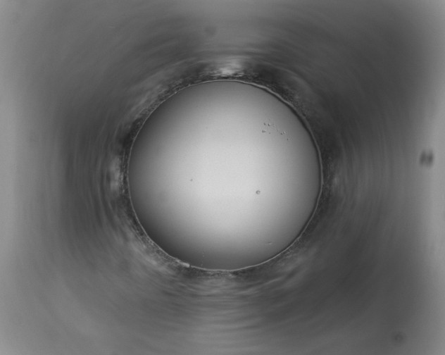 X0000113341442200909291019