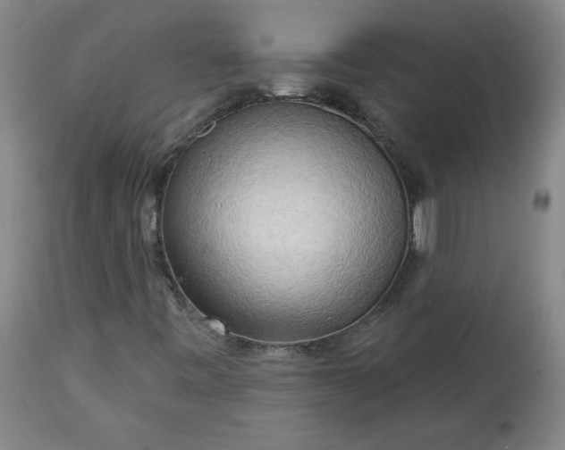 X0000113341443200909291019