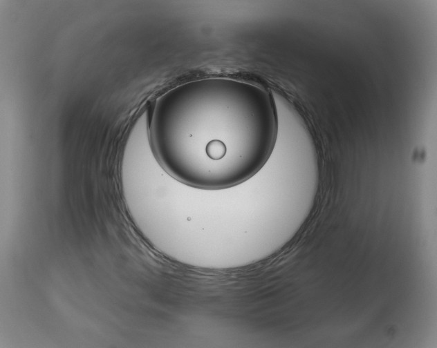 X0000113341444200909291019