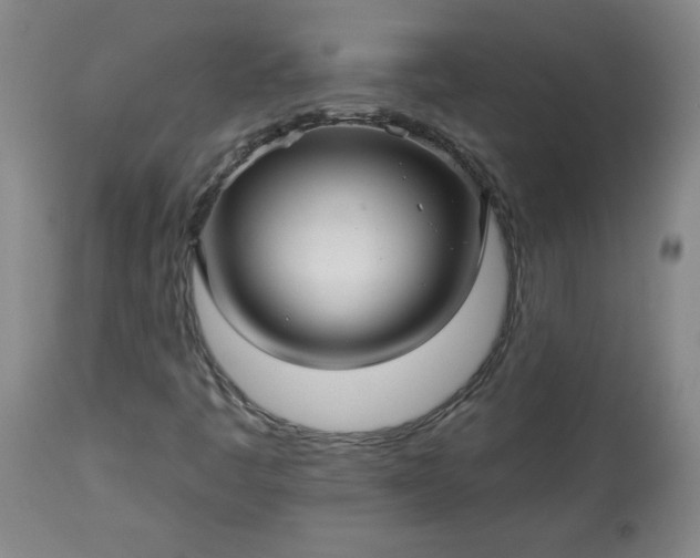 X0000113341445200909291019