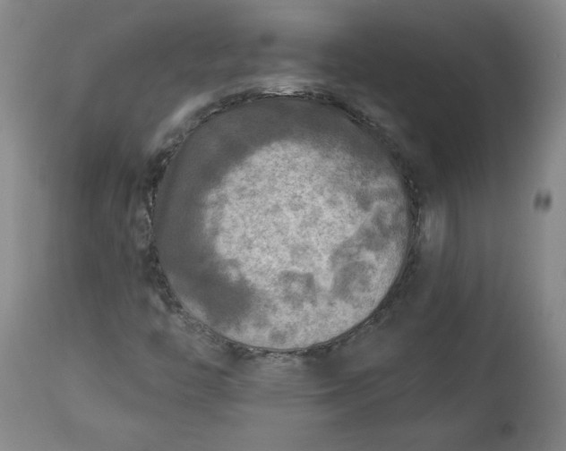 X0000113341446200909291019