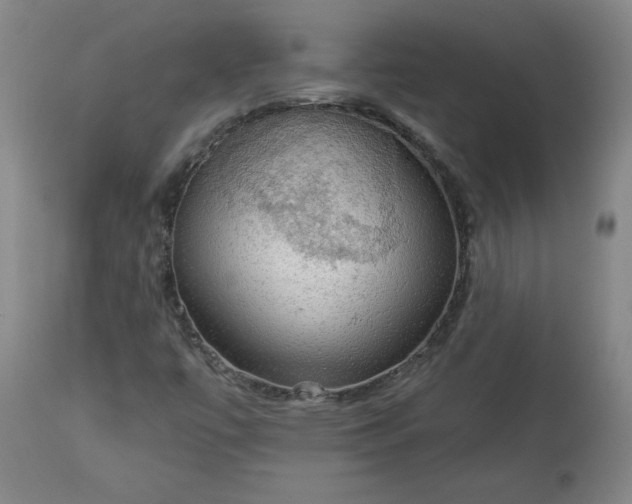 X0000113341447200909291019