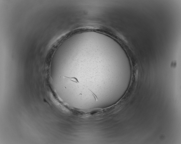 X0000113341448200909291019