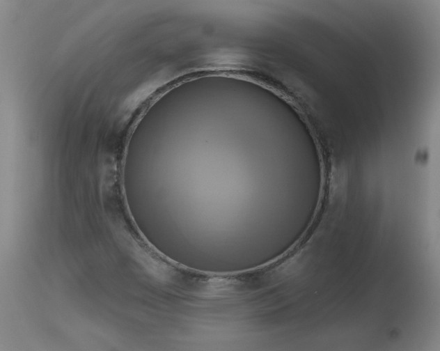 X0000113341449200909291019