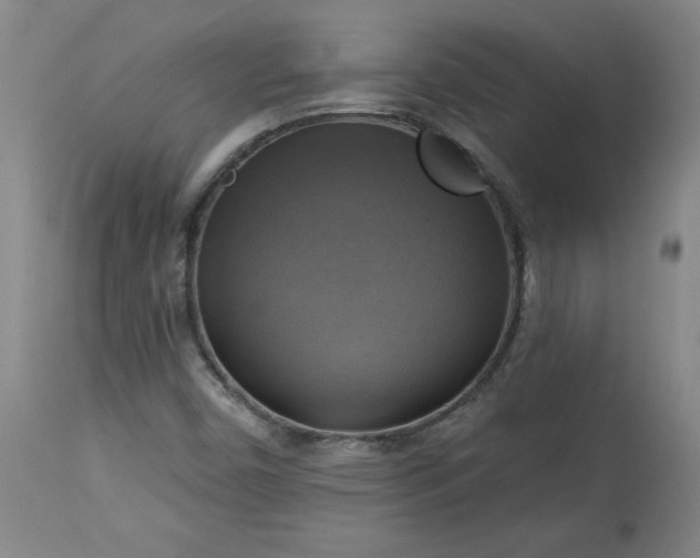 X0000113341450200909291019