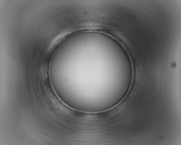 X0000113341451200909291019