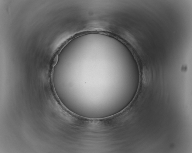 X0000113341452200909291019