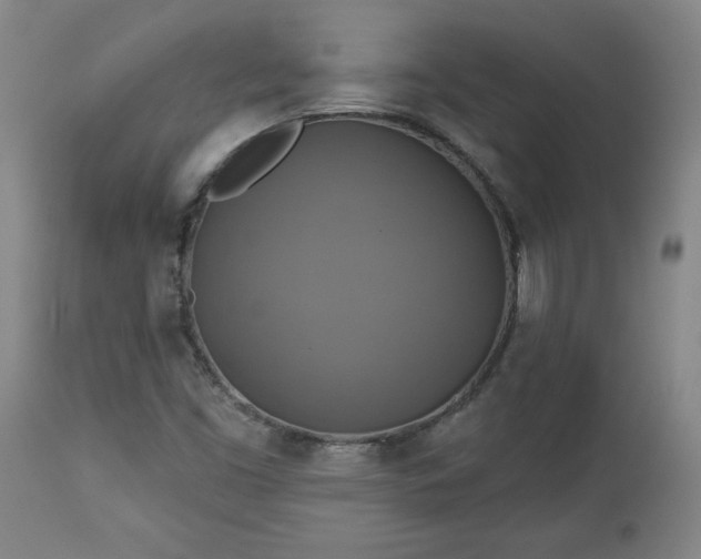 X0000113341453200909291019