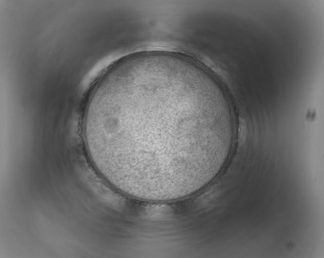 X0000113341454200909291019