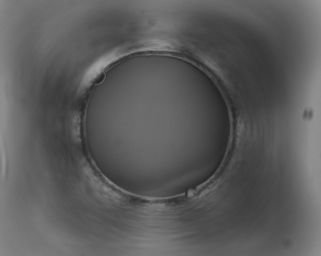 X0000113341455200909291019