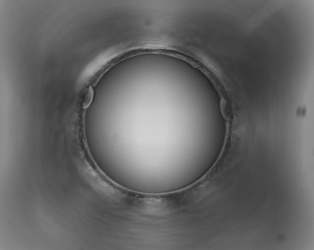 X0000113341456200909291019