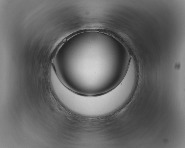 X0000113341457200909291019