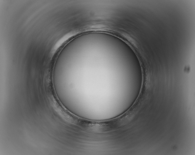 X0000113341458200909291019