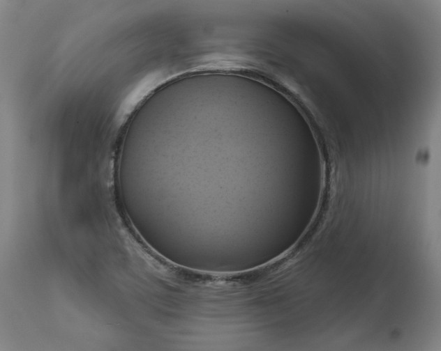 X0000113341459200909291019