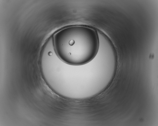 X0000113341460200909291019