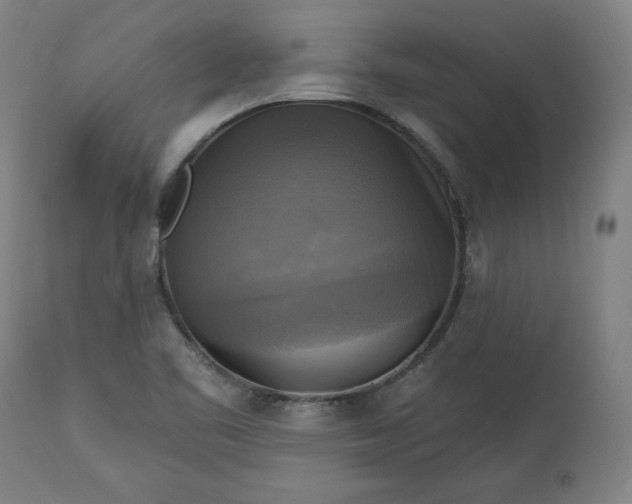 X0000113341461200909291018