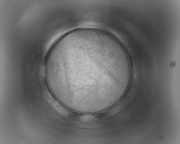 X0000113341462200909291018