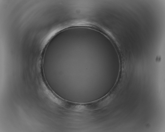 X0000113341463200909291018