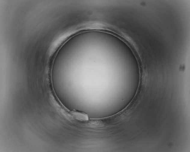 X0000113341464200909291018