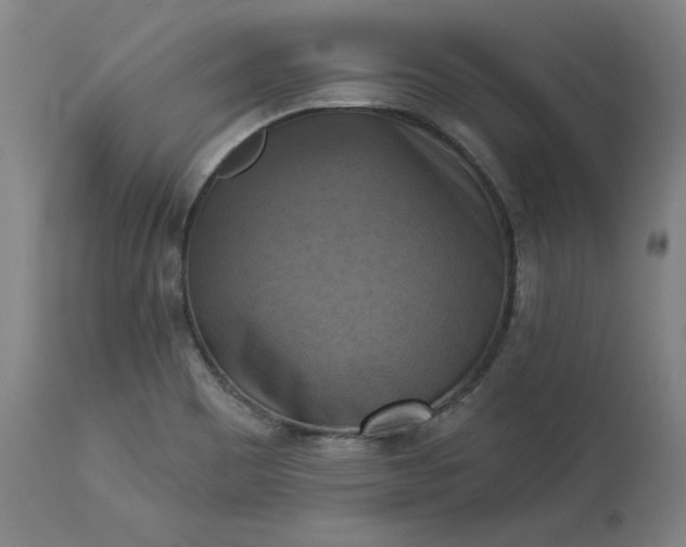 X0000113341465200909291018