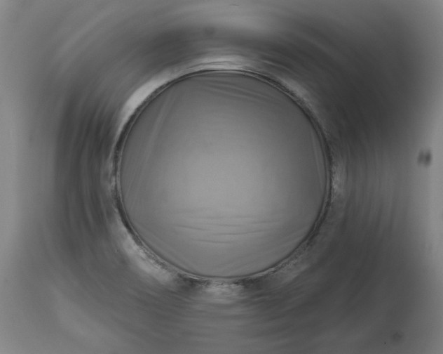 X0000113341466200909291018