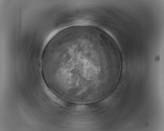 X0000113341467200909291018