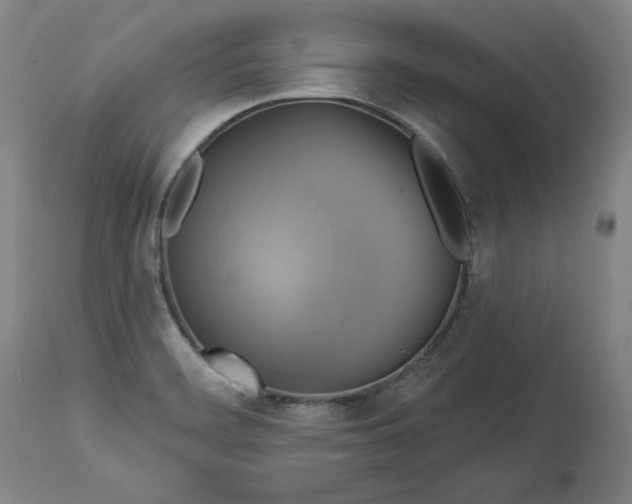 X0000113341468200909291018