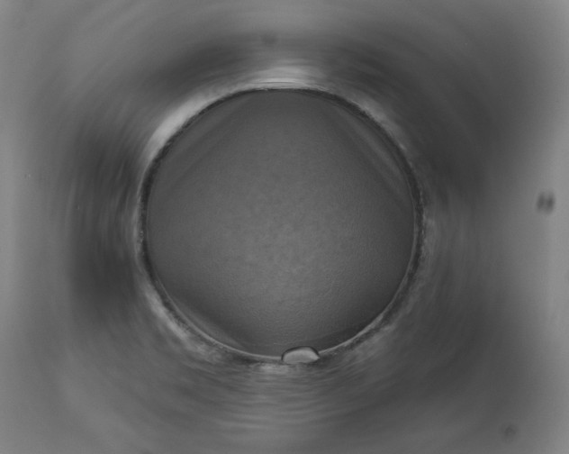 X0000113341469200909291018