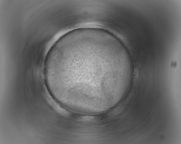 X0000113341470200909291018