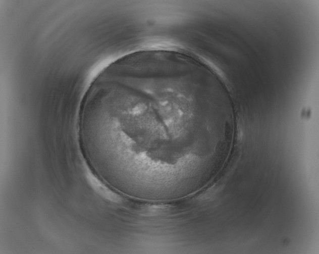 X0000113341471200909291018