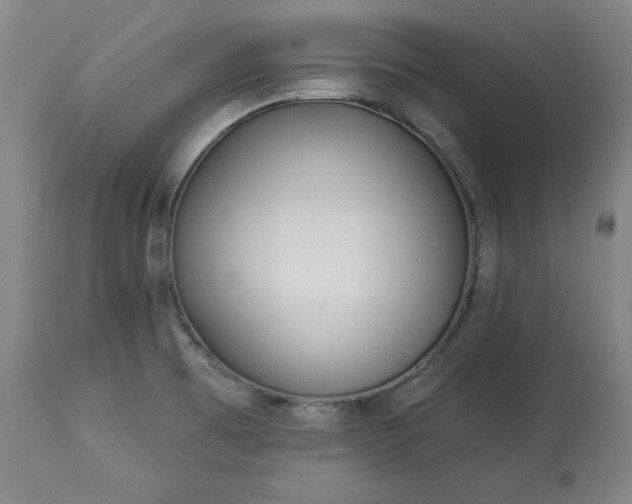 X0000113341473200909291018