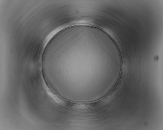 X0000113341474200909291018