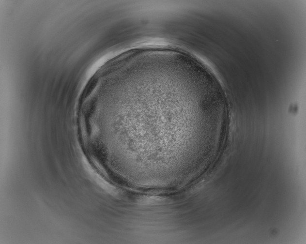 X0000113341475200909291018