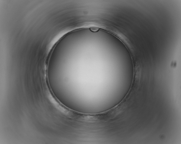 X0000113341476200909291018