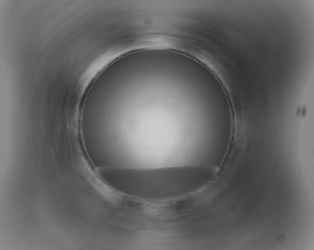 X0000113341477200909291018