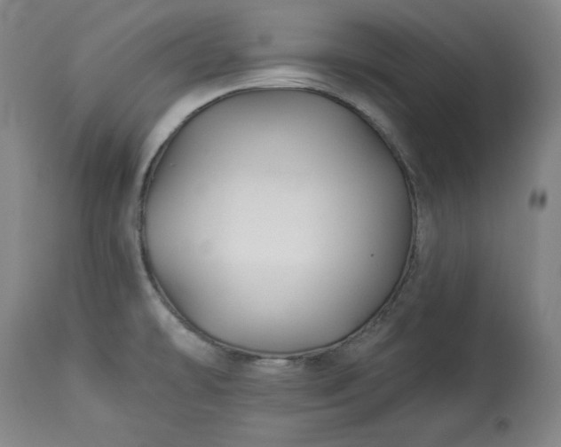 X0000113341478200909291018