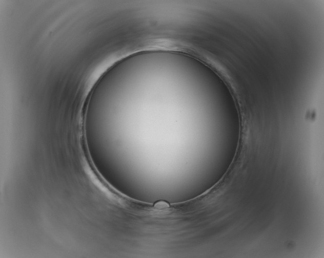 X0000113341479200909291018