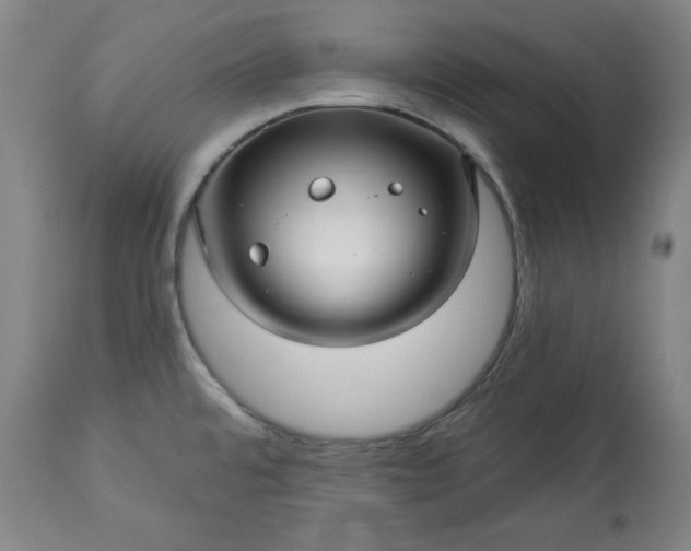 X0000113341480200909291018