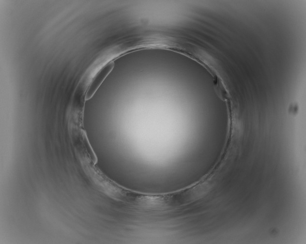 X0000113341481200909291018