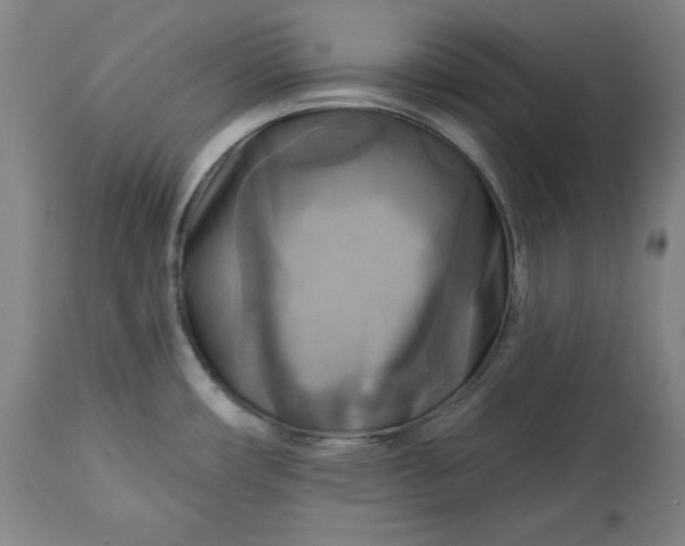 X0000113341482200909291018