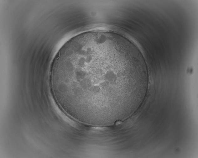 X0000113341483200909291018