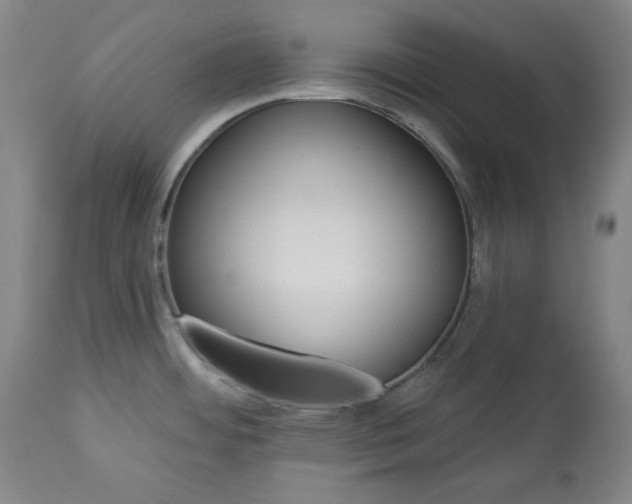 X0000113341484200909291018