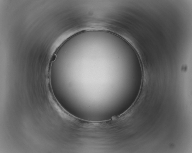 X0000113341485200909291018