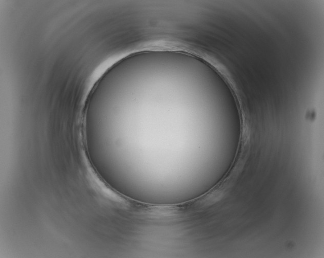 X0000113341486200909291018