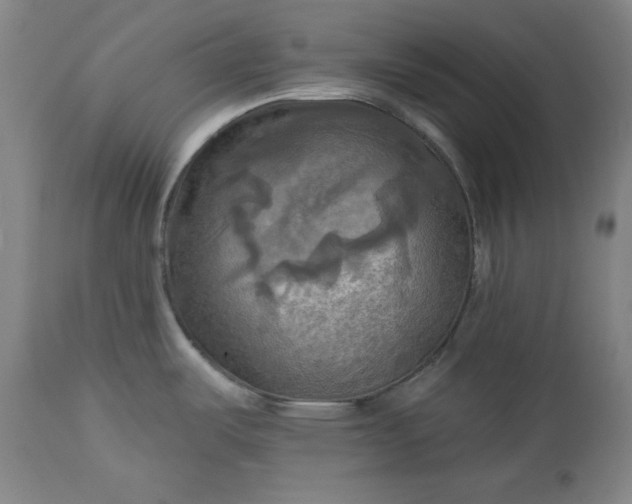 X0000113341487200909291018