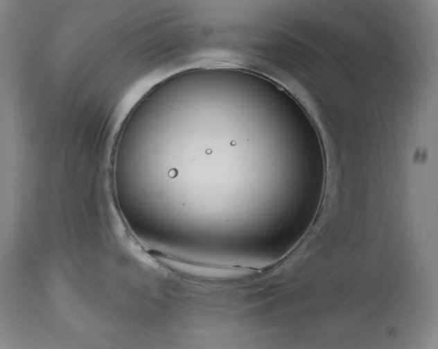 X0000113341488200909291018