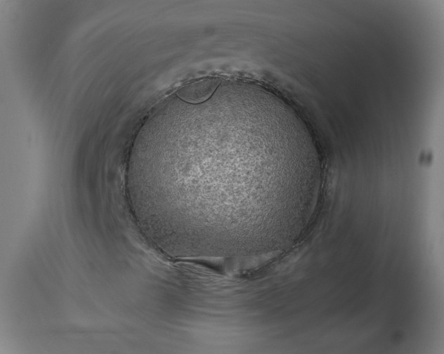 X0000113341489200909291017