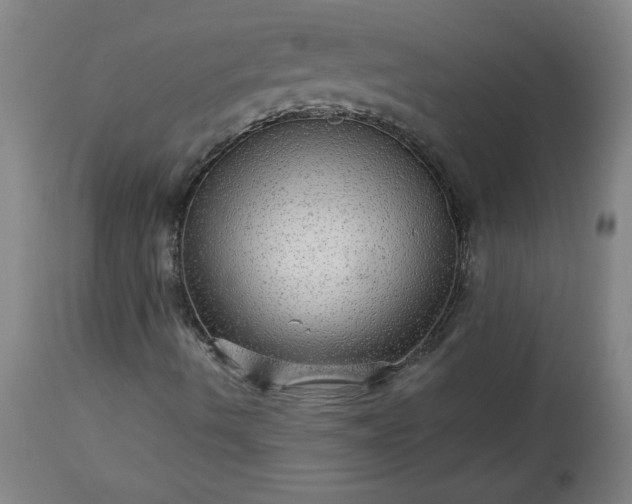 X0000113341490200909291017